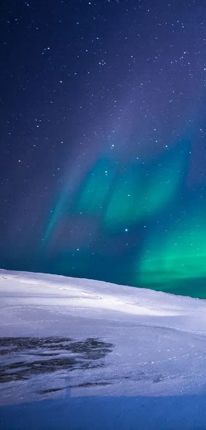 Aurora borealis with snowy landscape under a starry night sky.