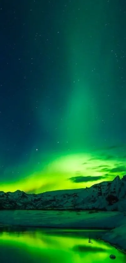 Green Aurora Borealis over snowy mountains at night.