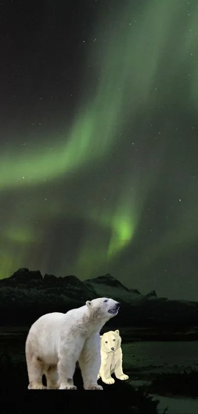 Aurora Borealis illuminating a dark night sky with green hues.