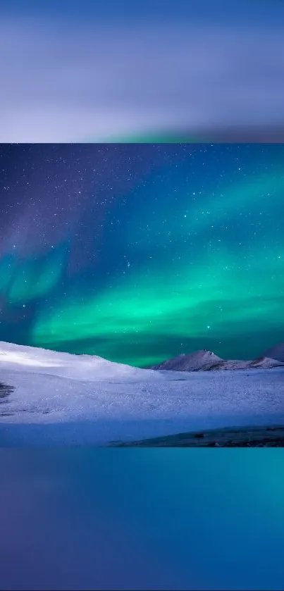 Aurora Borealis over snowy landscape under a starry night sky.