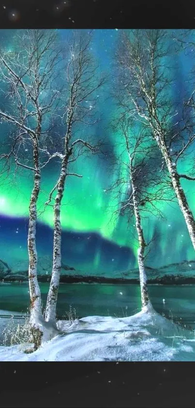 Beautiful aurora borealis over a winter landscape with trees and a frozen lake.