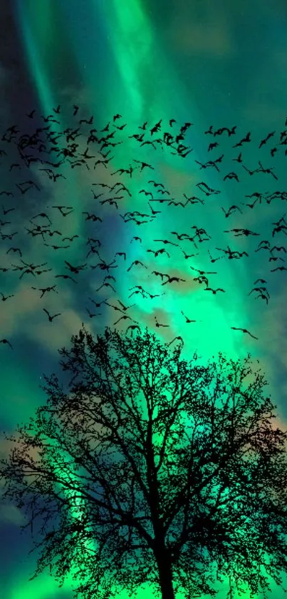 Aurora Borealis with birds flying over a silhouetted tree at night.