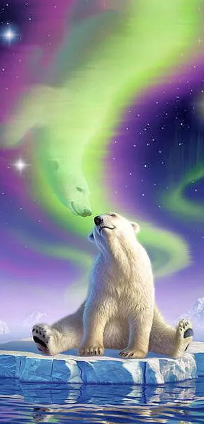 Polar bear sits on ice under the aurora borealis.