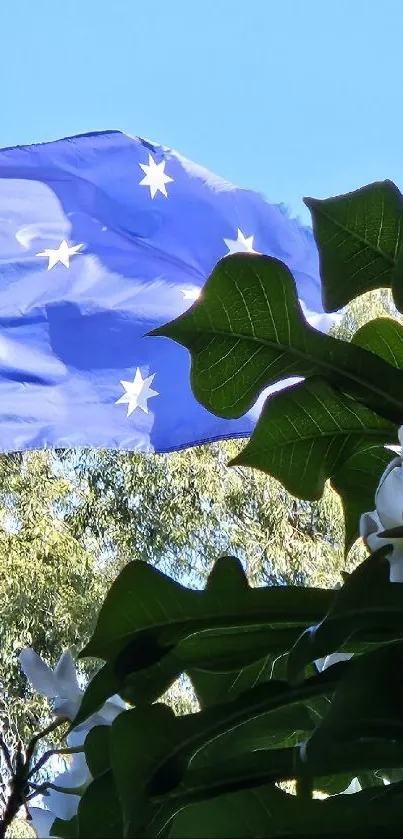 Australian flag with green leaves and white flowers in clear sky background.