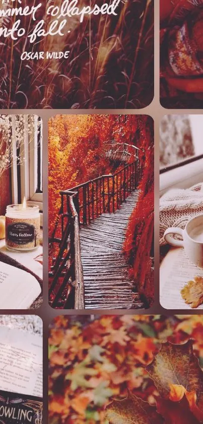 Autumn aesthetic collage with books, nature, and warm tones.