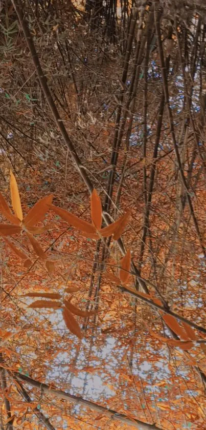 Bamboo leaves reflecting on an orange autumn background.