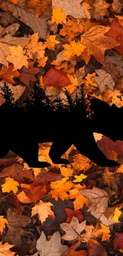 Bear silhouette on autumn leaves background for mobile wallpaper.