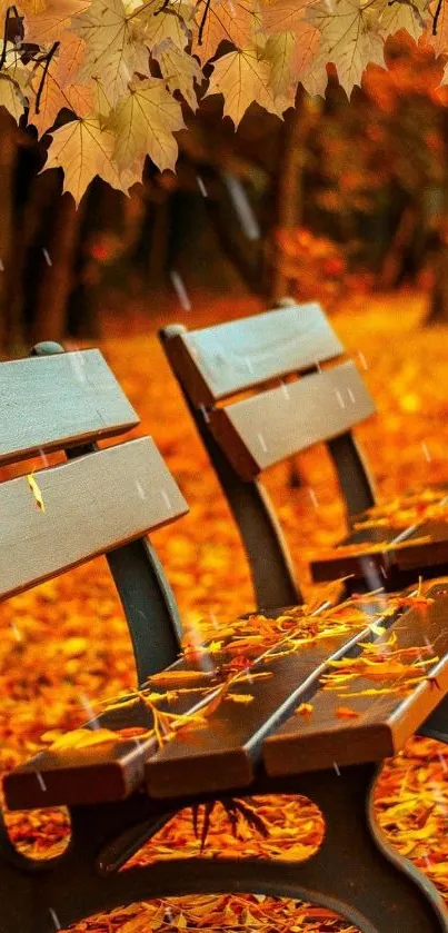 Autumn leaves and bench in a serene park setting.