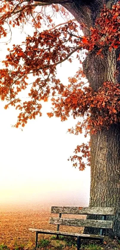 Serene autumn scene with a bench under a grand tree and golden mist.