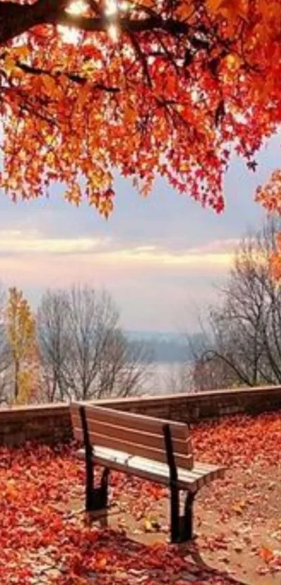 Autumn park bench surrounded by vibrant orange leaves.