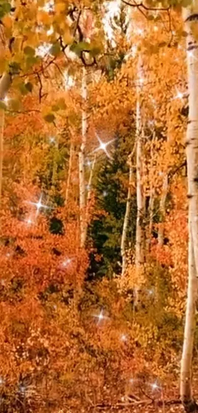 Enchanted autumn birch forest with sparkling lights.