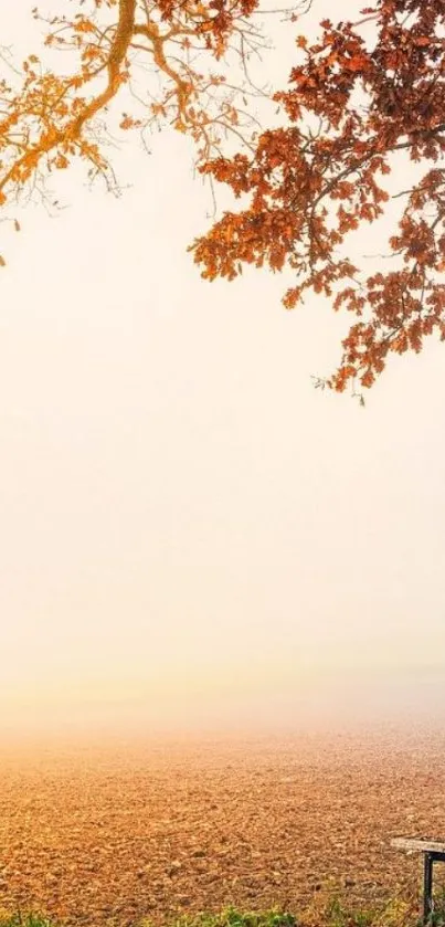 Serene autumn scene with leaves and a bench.