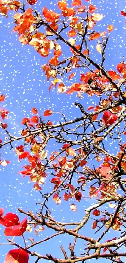 Red autumn leaves against a bright blue sky in a triptych style wallpaper.