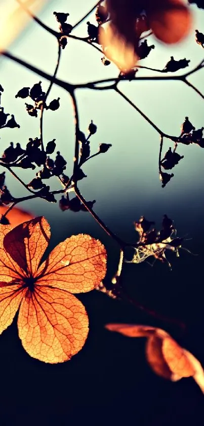 Mobile wallpaper of autumn branches with orange leaves.