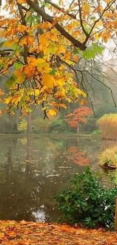 Mobile wallpaper of an autumn park with a wooden bridge and vibrant foliage.