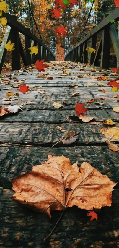 Rustic wooden bridge covered with autumn leaves.