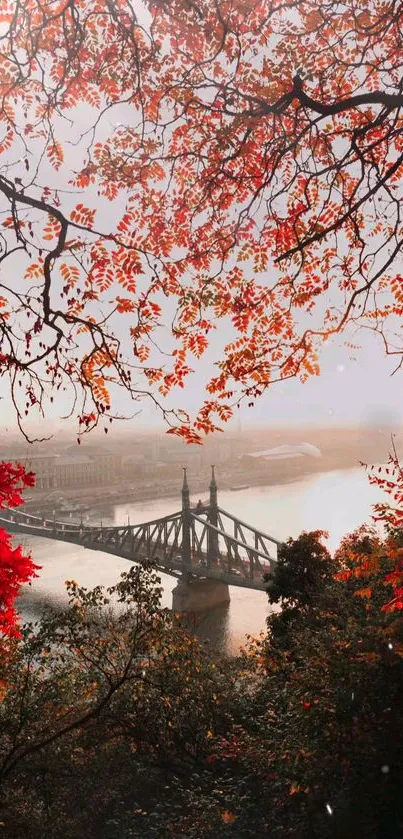 Autumn foliage frames a bridge over a tranquil river with vibrant red leaves.