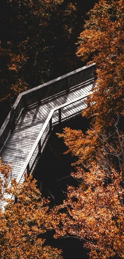 A wooden bridge surrounded by vibrant autumn leaves.