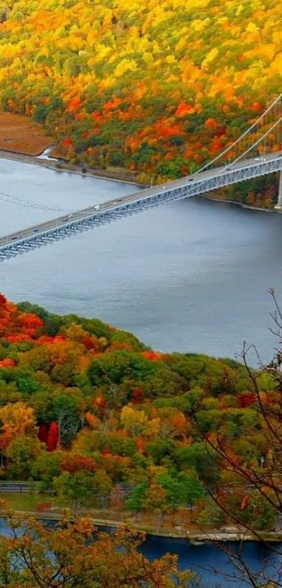 Scenic view of a bridge amid vibrant autumn foliage.