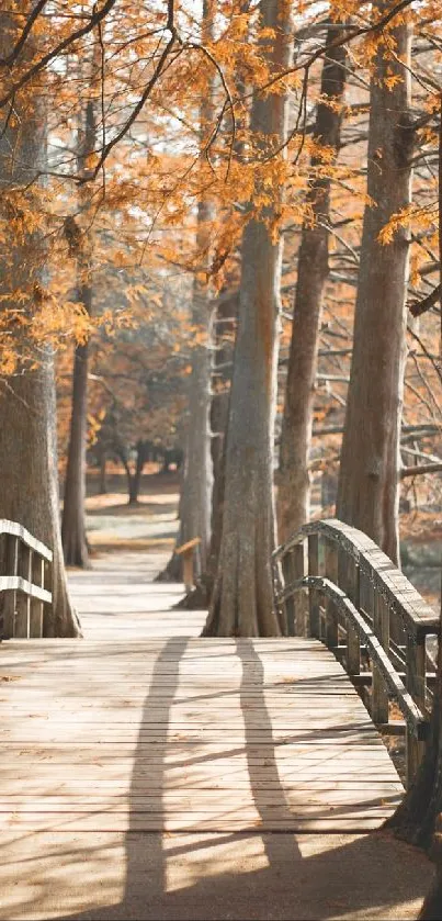 Wooden bridge under vibrant autumn foliage in a serene forest setting.