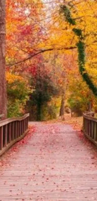 Serene wooden bridge with vibrant autumn foliage in a picturesque setting.