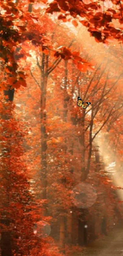 Enchanting autumn forest with butterfly.