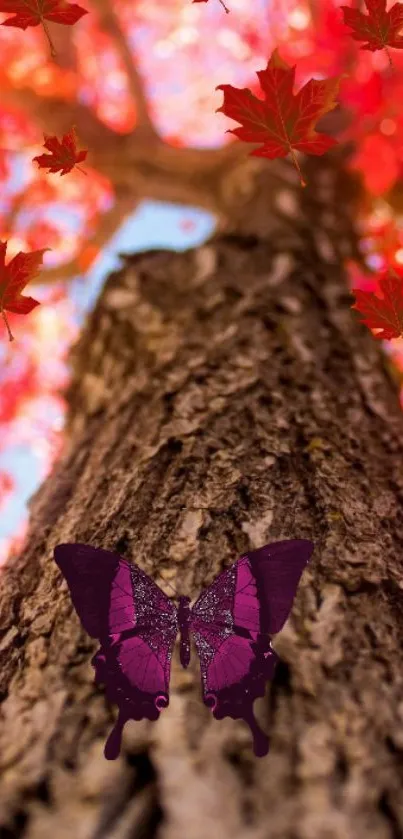 Autumn tree with butterfly and red leaves.