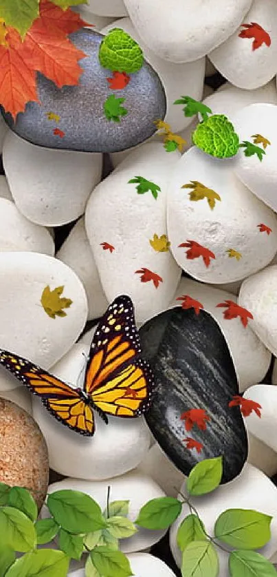 Wallpaper of a butterfly on autumn leaves and smooth stones.