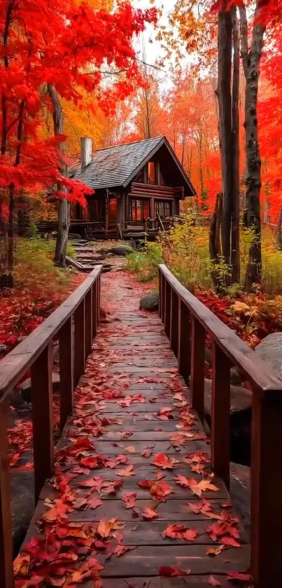 Woodland cabin surrounded by autumn leaves.