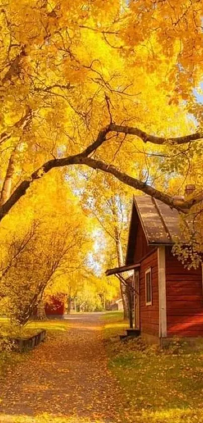 Rustic cabin among golden autumn leaves and clear blue sky.