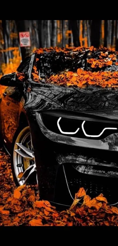 Black car covered with orange leaves in an autumn forest setting.