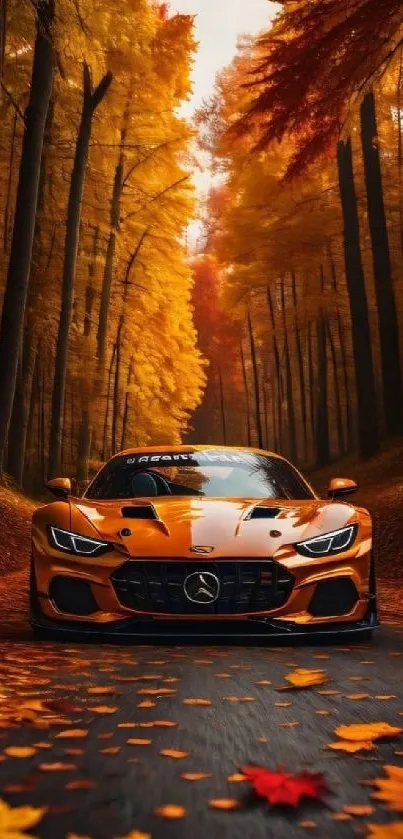 A luxury car on a forest road surrounded by autumn leaves.