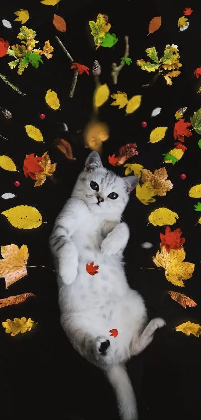 White cat surrounded by autumn leaves on a black background.