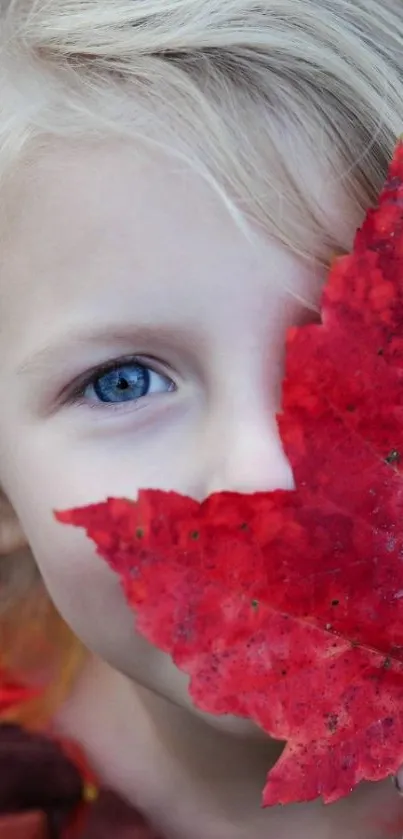 Child peeks from behind a vibrant red autumn leaf.