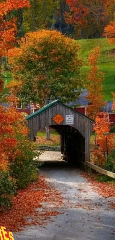 Autumn scene with bridge and vibrant foliage in nature setting.