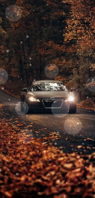 Car driving through an autumn forest with fallen leaves.
