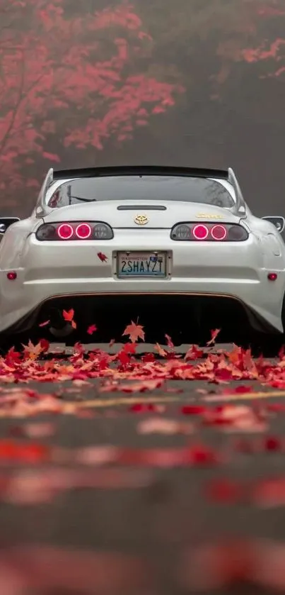 Rear view of sports car amidst autumn leaves.