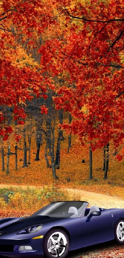 Blue car amidst autumn trees on a forest path.