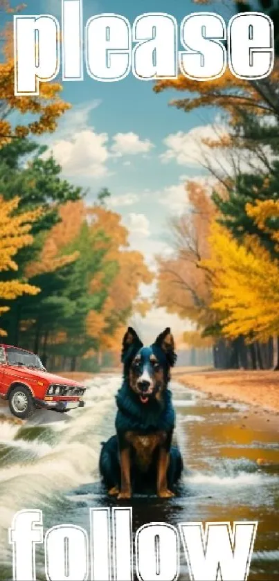 Dog on water path with vintage car and autumn trees.