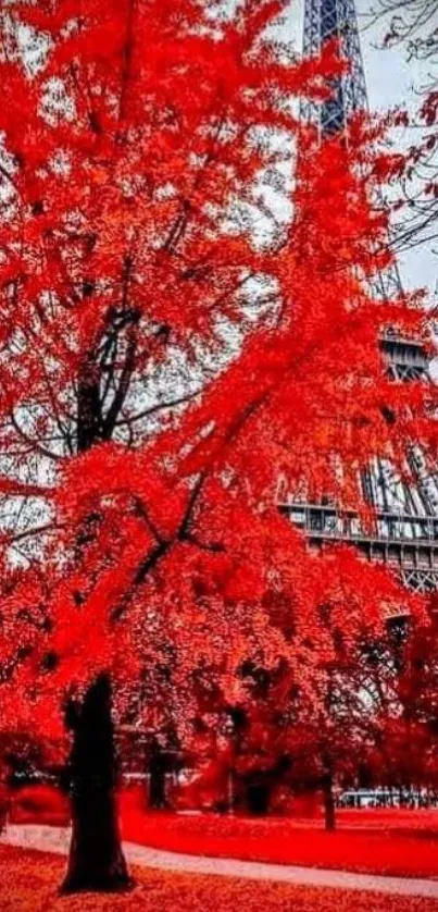 Red autumn leaves with Eiffel Tower in the background.