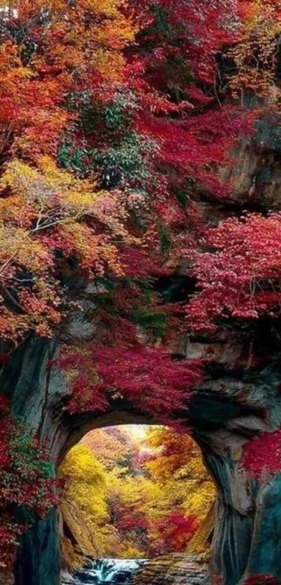 Vibrant autumn forest with stone archway and colorful foliage.