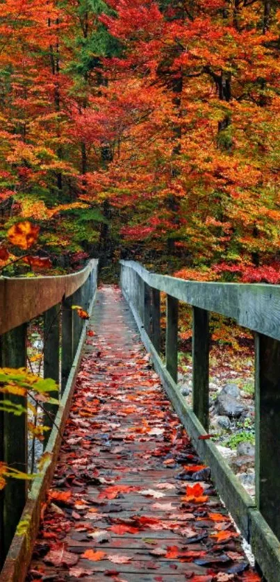 Rustic wooden bridge in a vibrant autumn forest with colorful leaves.