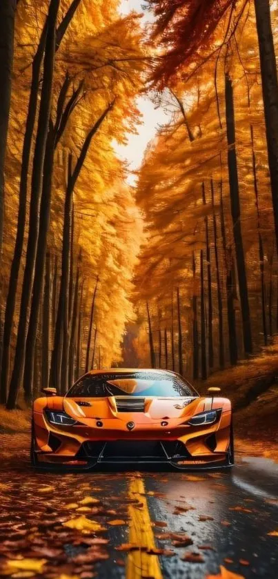 Sports car drives through autumn forest with vibrant orange leaves.