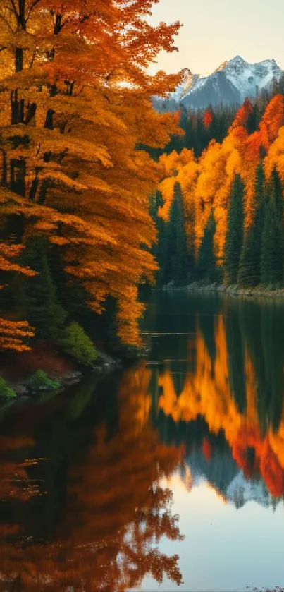 Autumn forest with colorful leaves reflected in a serene lake.