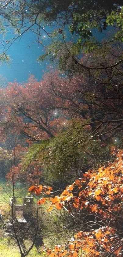 Beautiful autumn forest with light beams and vibrant foliage