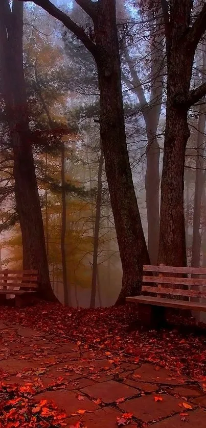 Misty forest path with autumn leaves and benches.