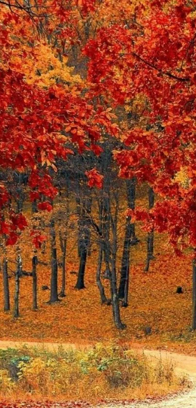 Vibrant autumn forest with red leaves and a winding path.