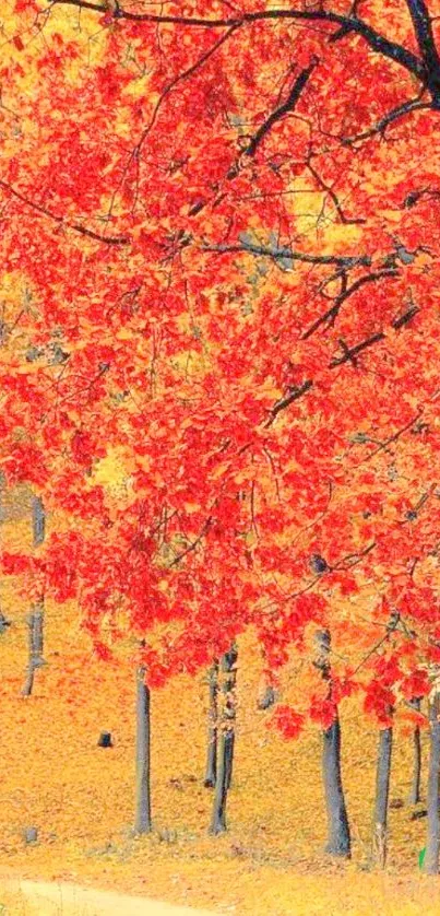 Vibrant autumn forest with red foliage and winding path.