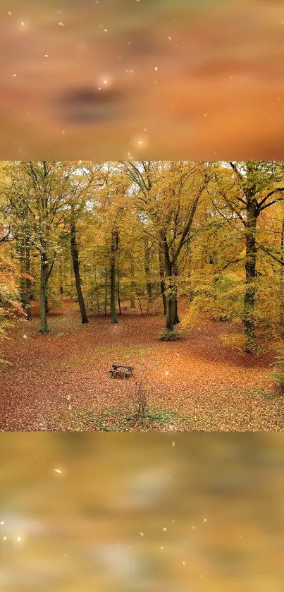 Autumn forest with golden leaves and serene atmosphere.