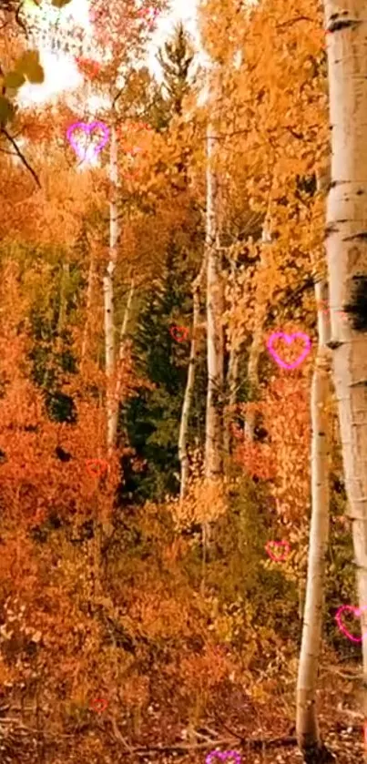 Autumn forest wallpaper with vibrant orange foliage and pink hearts.